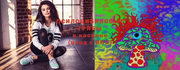 трава Кулебаки