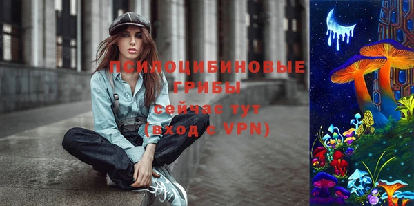 винт Гусиноозёрск